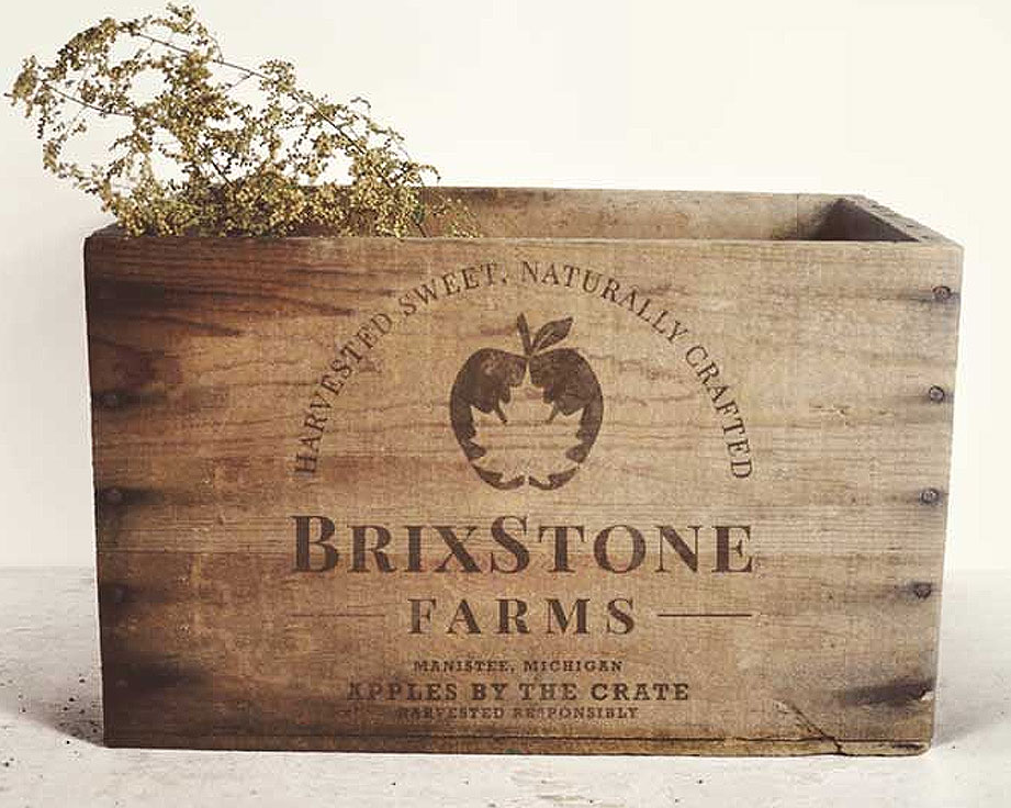 llogo design for BrixStone Farms