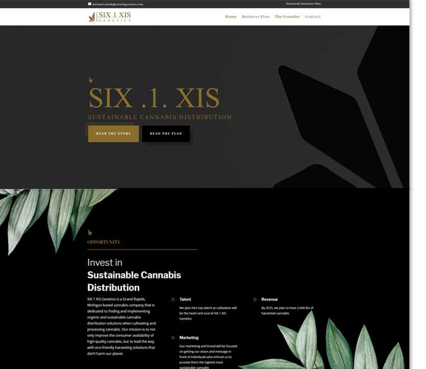 CBD and Cannabis Web Design Example