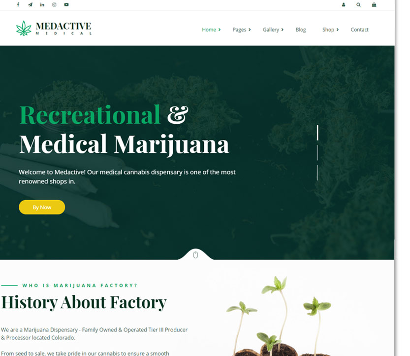 CBD and Cannabis ecommerce website design
